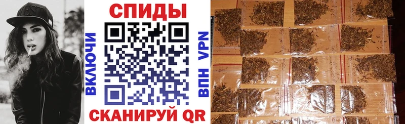 mega как войти  Зверево  БУТИРАТ буратино 