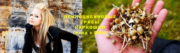 ГАЛЛЮЦИНОГЕННЫЕ ГРИБЫ Баксан